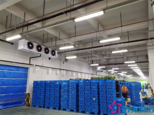 叮咚买菜17000m³生鲜电商冷库建造 叮咚买菜17000m³生鲜电商冷库建造